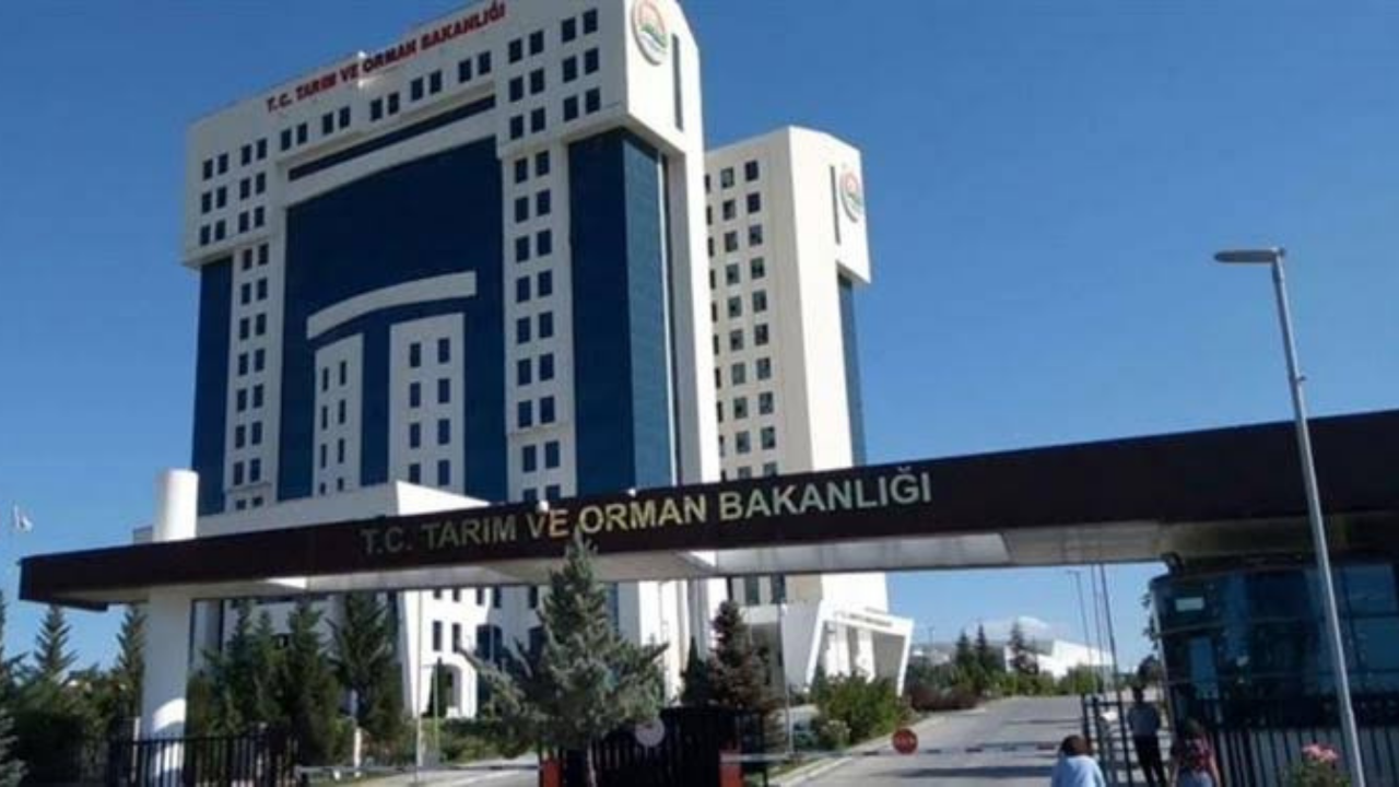 tarim-bak.webp